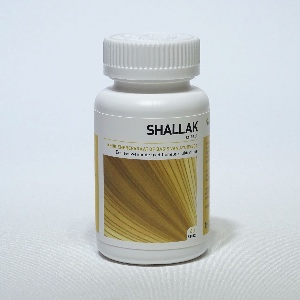 Shallak (Boswellia serrata) 60